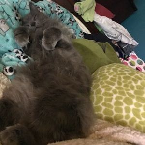 Meet your Posher, Zoe